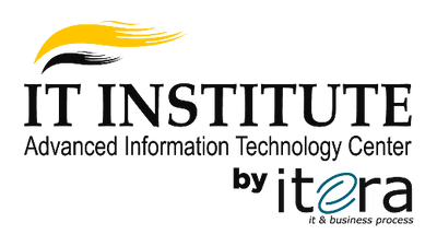 IT INSTITUTE